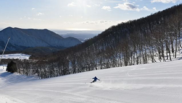日本仙台｜地接｜翻譯陪同｜地陪｜旅遊｜仙台展會｜商務考察｜AY