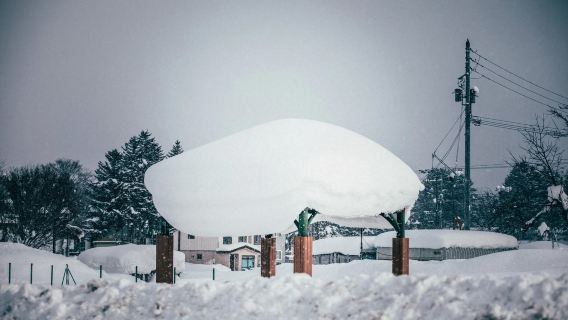 Japan Otaru/Asahikawa/Biei/Furano/Lake Tōya/Noboribetsu - Sapporo round-trip one-day tour