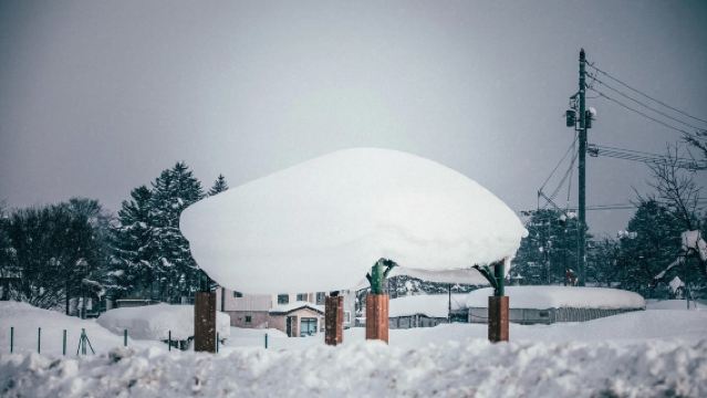 Japan Otaru/Asahikawa/Biei/Furano/Lake Tōya/Noboribetsu - Sapporo round-trip one-day tour