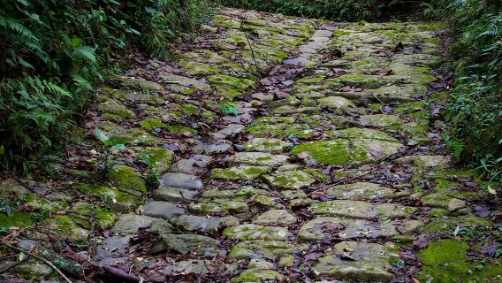 Paraty: ทัวร์เดินป่าในป่าฝน Gold Trail