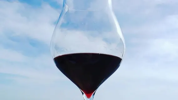 Genuine Home Cooking Class + Wine Tasting