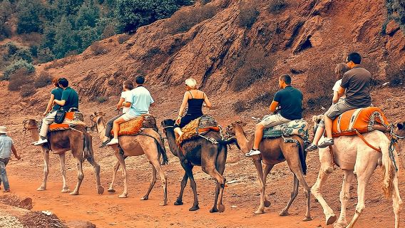 Atlas Mountains Day Trip and Ourika Valleys Guided Tour