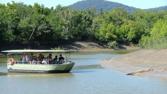 Whitsunday Crocodile Safari from Airlie Beach including Lunch