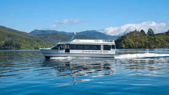 Crociera di mezza giornata a Marlborough Sounds da Picton