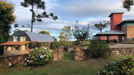 Visita guidata con degustazione di vini a Casa Seganfredo - Gramado