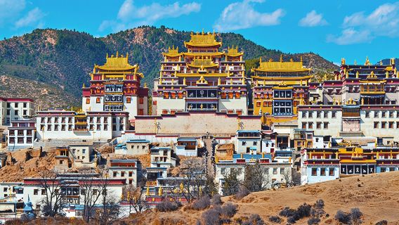 Privattransfer: Shangri-La Songzanlin-Kloster + Pudacuo + Napa-See (Yila-Grasland) Tagesausflug