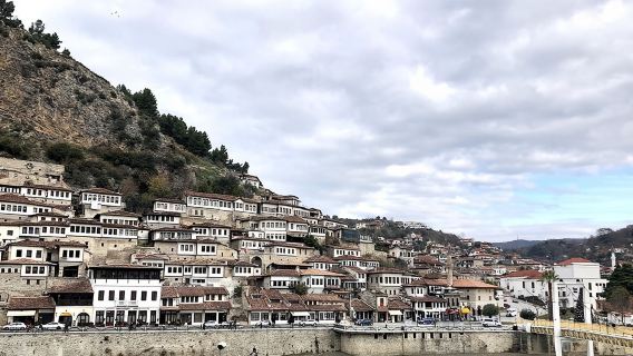 From Tirana: Berat Day Tour, Belshi Lake and Wine Tasting