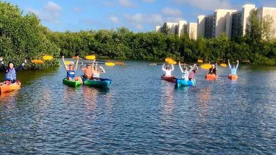 Ecotour guidato di Siesta Key