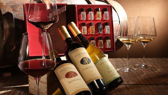 Sensory wine tasting at Terre del Marchesato winery