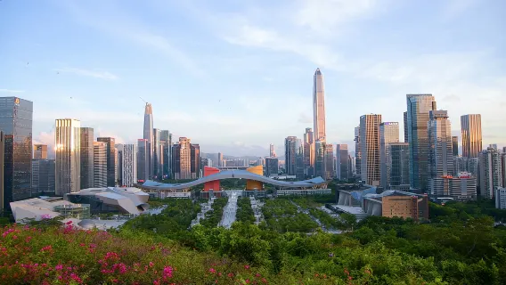 Shenzhen Private Day Tour Happy Coast Dream House Lotus Hill Park Gankeng Ancient Town