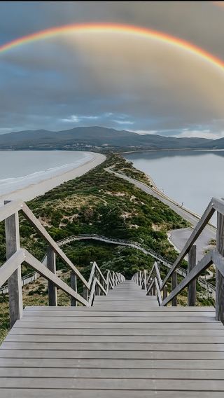1-day tour to Bruny Island in Tasmania with white wallabies and oysters from Hobart