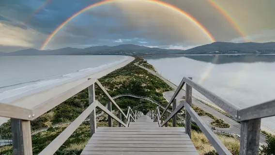 1-day tour to Bruny Island in Tasmania with white wallabies and oysters from Hobart