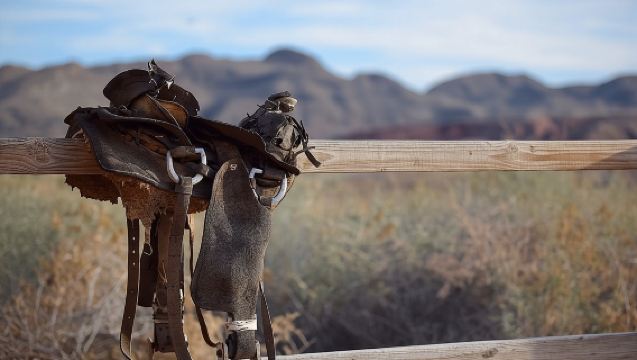 Wild West Sunset Horseback Ride with Dinner from Las Vegas