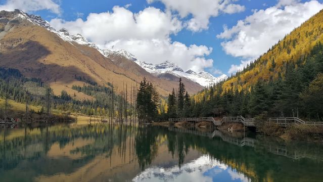 四姑娘山雙橋溝一日遊含門票送氧氣2-8人團獨立出行可選大團遊