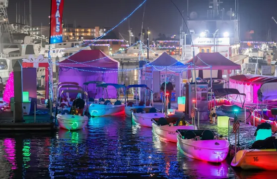 聖地牙哥灣夜間發光腳踏船租賃