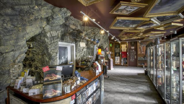 Wellington City Cave to Coast Hoogtepunten Tour (5 uur met lunch)