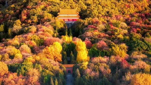 南京明孝陵【官方拼團人員導覽】20人精品團（可選場次）