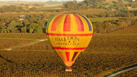 1-hour hot air balloon ride flight in Barossa, South Australia + breakfast