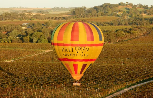 南澳芭蘿莎Barossa 1小時熱氣球飛行+早餐