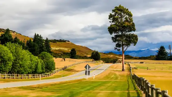 New Zealand Queenstown Glenorchy Half Day Tour [private charter Small Group]