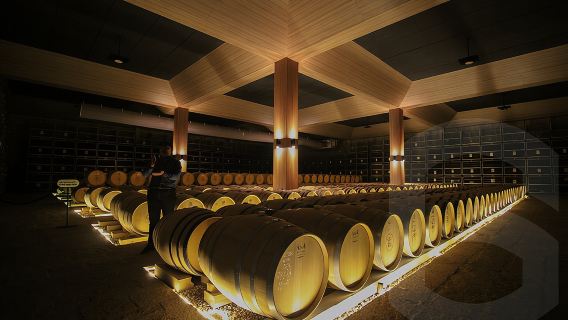 Tour privado por viñedos y degustación de vinos desde Guanajuato