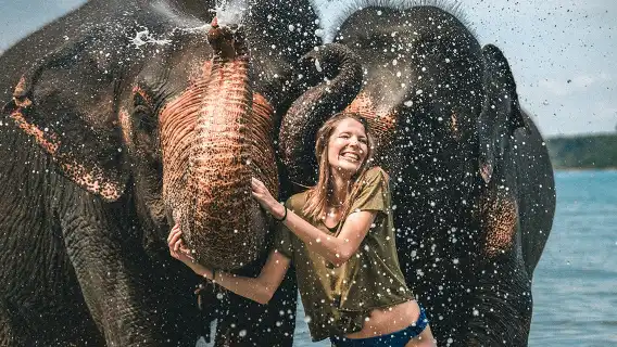 普吉島Lily莉莉大象保護營半日遊含餐 喜力海景象園