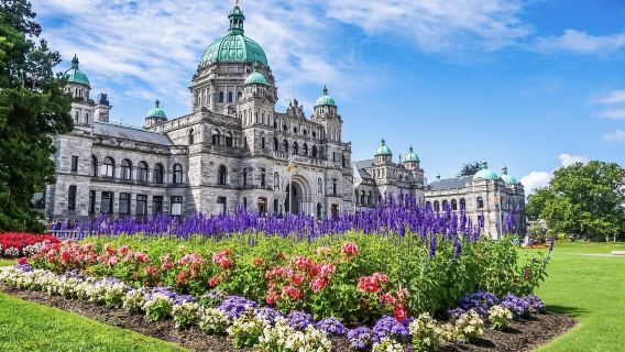 加拿大全境 專業翻譯|旅遊地陪|商務翻譯|展會翻譯|陪同拜訪|中英翻譯