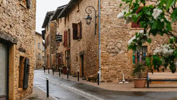 จากลียง: ทัวร์ชิมไวน์ Golden Stones Beaujolais