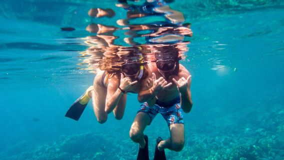 Đảo Lớn: Chuyến du thuyền lặn biển buổi sáng đến Tượng đài Captain Cook