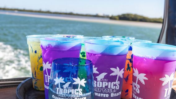 Clearwater: Pelayaran dengan Penampakan Dolphin Terjamin