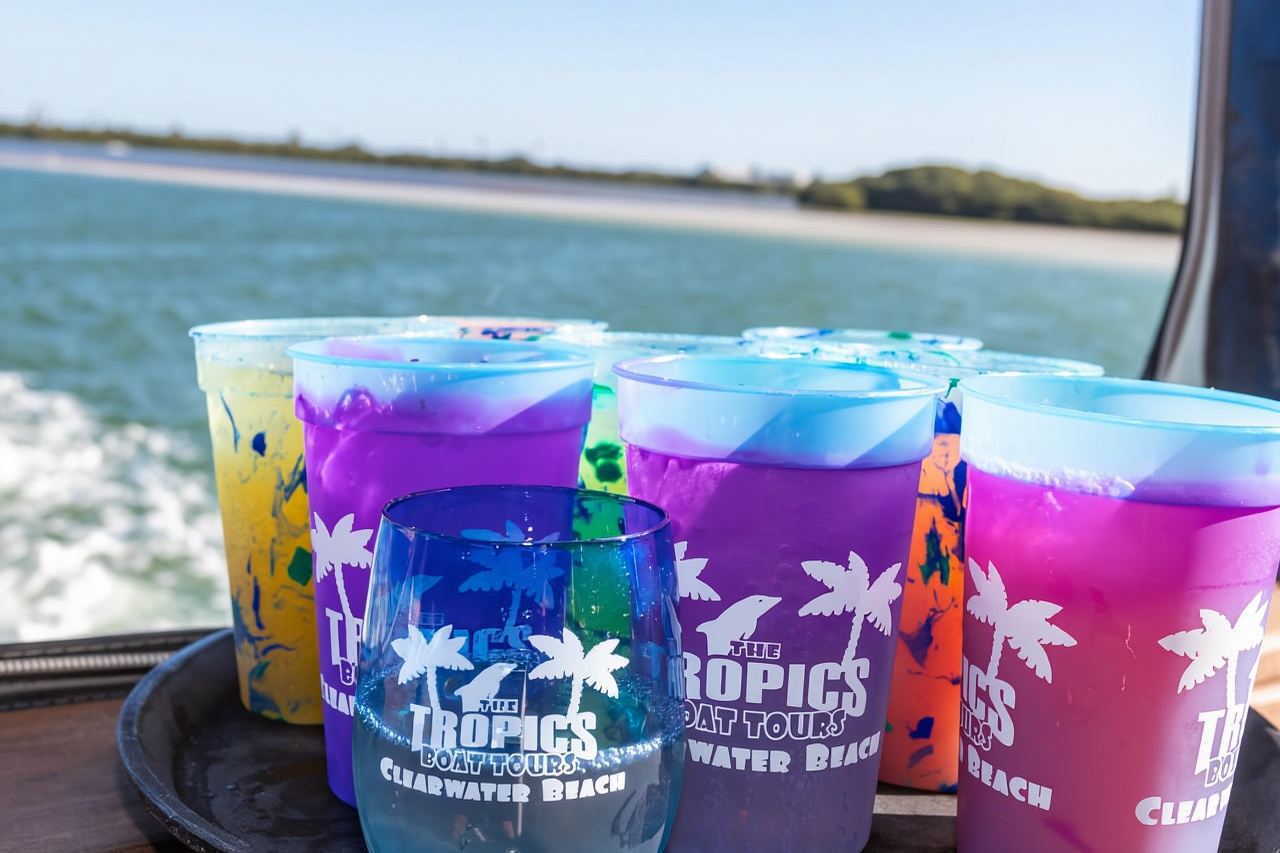 Clearwater: crociera con avvistamenti di delfini garantiti