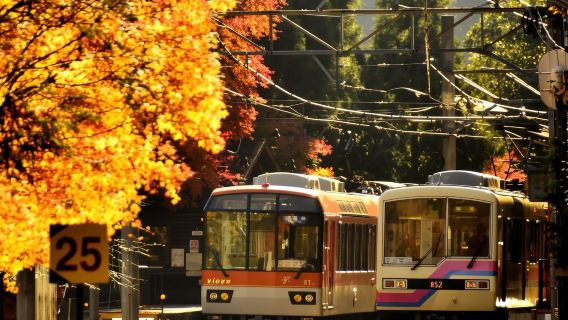 大阪出發天橋立伊根舟屋美山合掌村一日遊