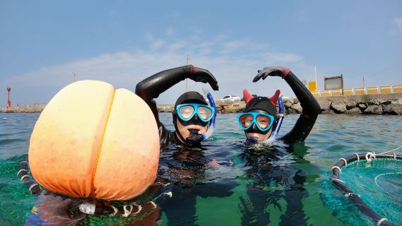 한국 제주 도시해녀 체험 다이빙 스노클링 2시간 [한국 제주도 다이빙+도시해녀 스노클링 체험+해녀 조업/해물라면]