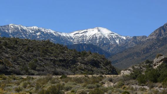 Desde Las Vegas: Excursión de un día al Mount Charleston Resort