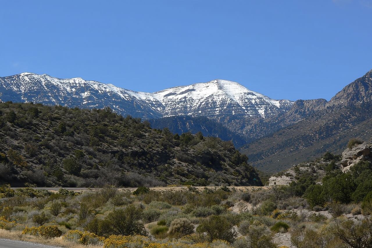 From Las Vegas: Day Trip to Mount Charleston Resort