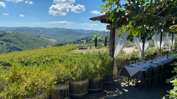 Chianti-Weingut + Schloss Brolio – Private Tour