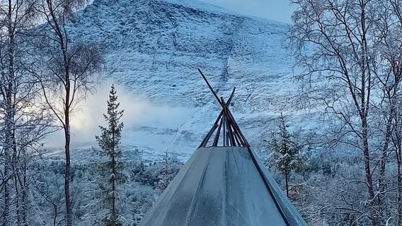 From Tromso: Arctic Wilderness Snowmobile Daytime Tour