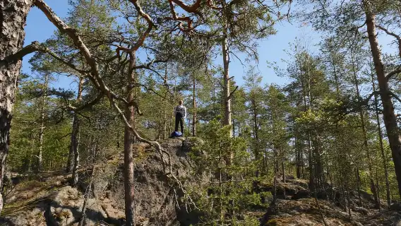From Helsinki: Nuuksio National Park Hiking Tour with Food
