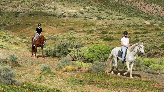 1 ora di rilassante escursione a cavallo a Gran Canaria