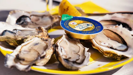Ab Bordeaux: Tagestour zum Arcachon-Becken und Austern-Mittagessen