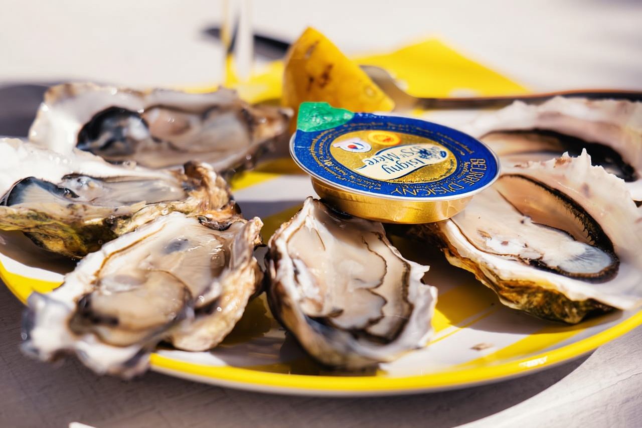 Dari Bordeaux: Lawatan Sehari Penuh Arcachon Bay dan Makan Tengahari Oyster