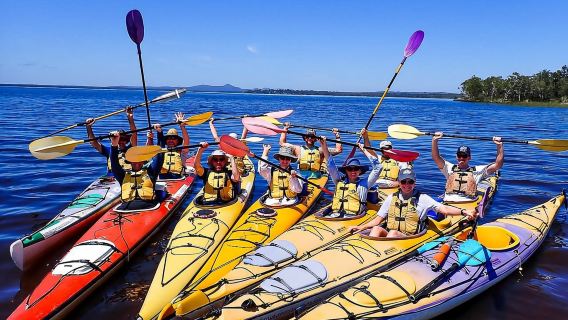 Noosa Everglades: Tour guiado en kayak verdaderamente sostenible
