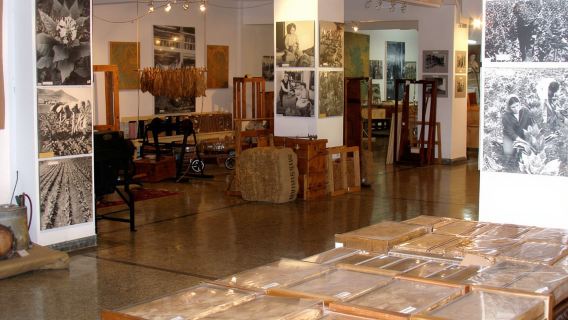 Kavala: City Grand Tour by Eco Friendly Tuk Tuk