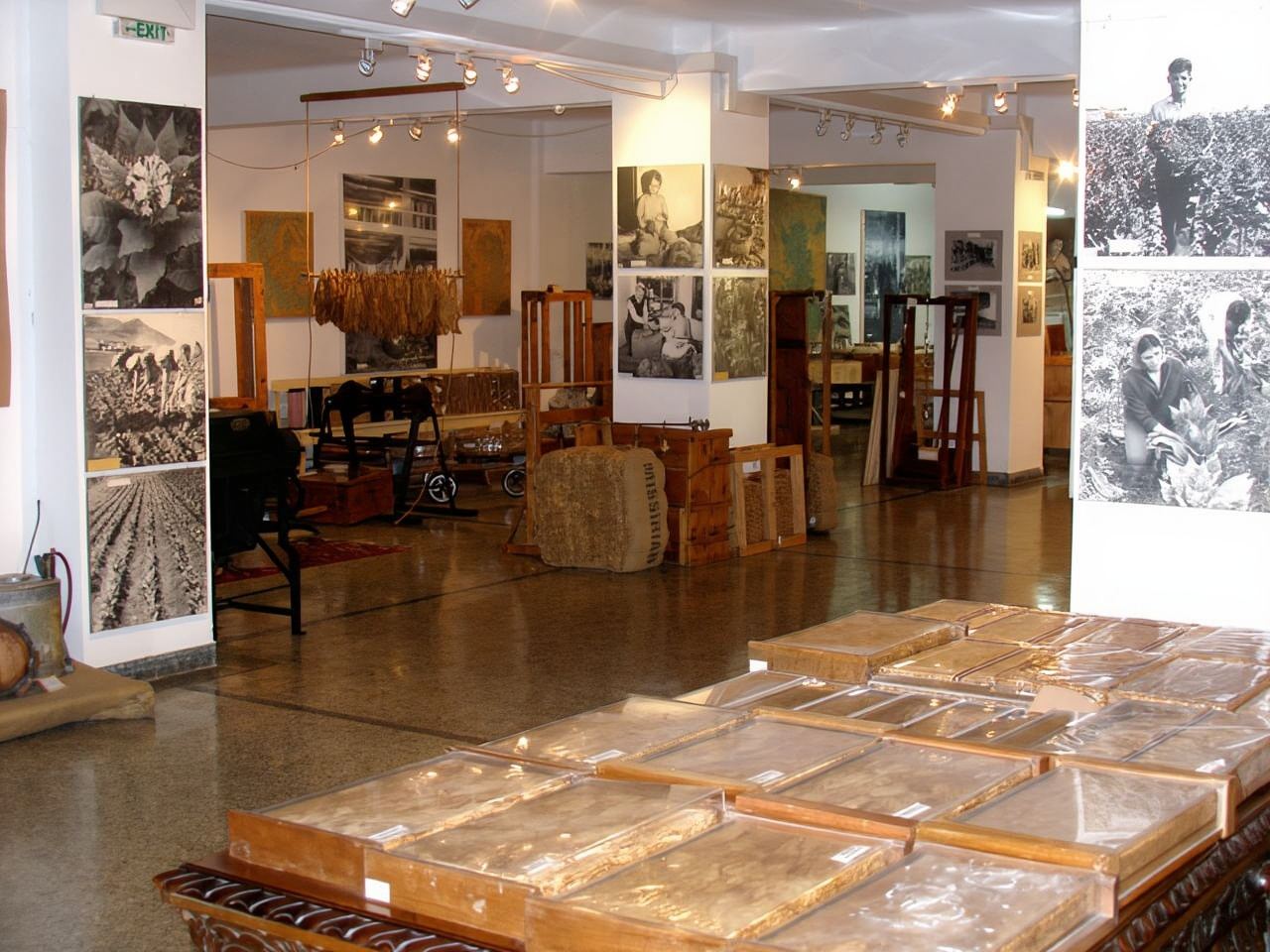 Kavala: City Grand Tour oleh Tuk Tuk Mesra Alam