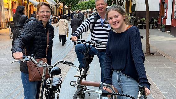 Seville: Tour Flamenco trên xe đạp điện với chương trình biểu diễn