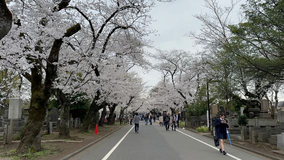 Tokyo: Jalan-jalan di Kota Tua Tradisional ~Yanaka & Nezu