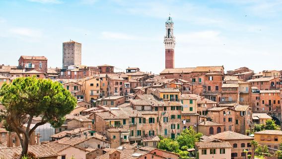 San Gimignano, Monteriggioni and Chianti with Wine Tasting and Lunch