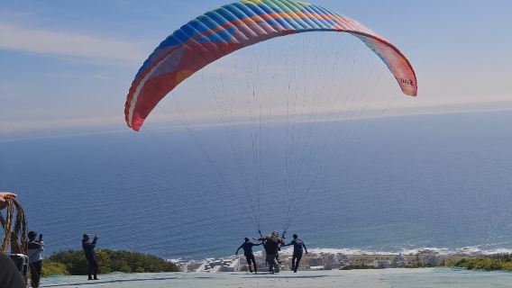 南非開普敦包車一日遊 諾德霍克公園+滑翔傘體驗+維多利亞港