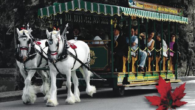 Stanley Park Horse Drawn Tour in Vancouver