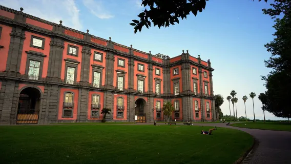 Entrada para el Museo Arqueológico Nacional de Nápoles y tarjeta anual OpenMANN